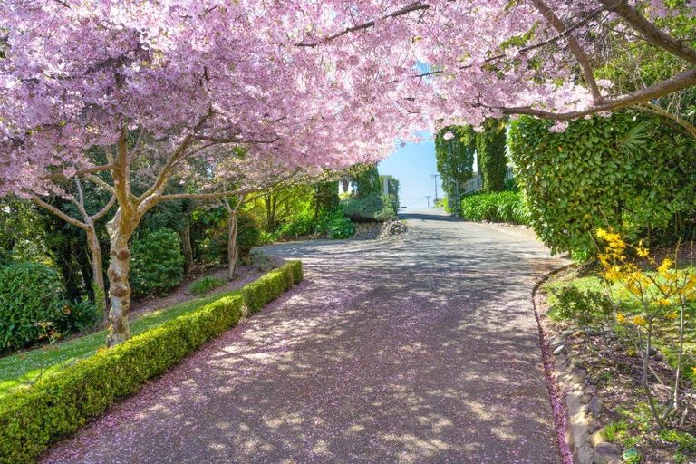 Photo of property in 40 View Mount, Stoke, Nelson, 7011