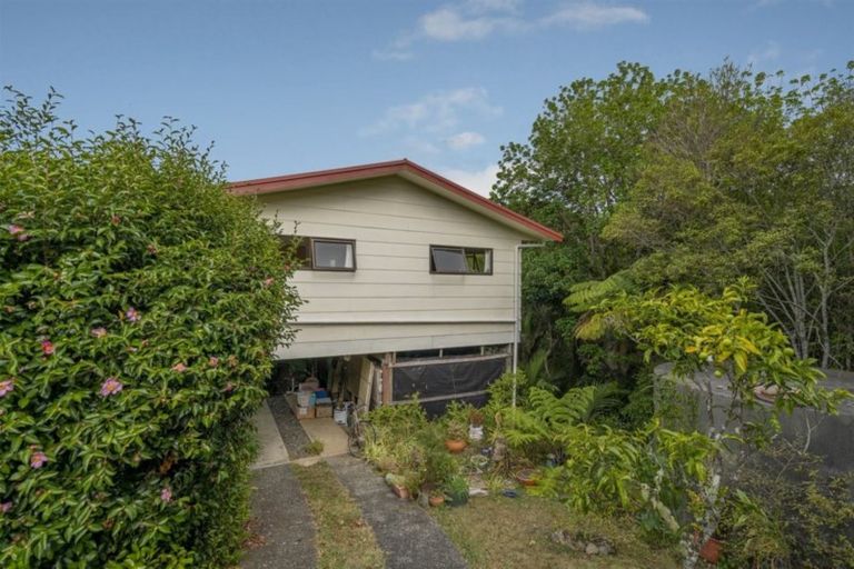 Photo of property in 23 Punga Place, Whitianga, 3510