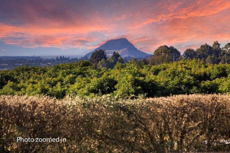 Photo of property in 202 Pukemapu Road, Oropi, Tauranga, 3173