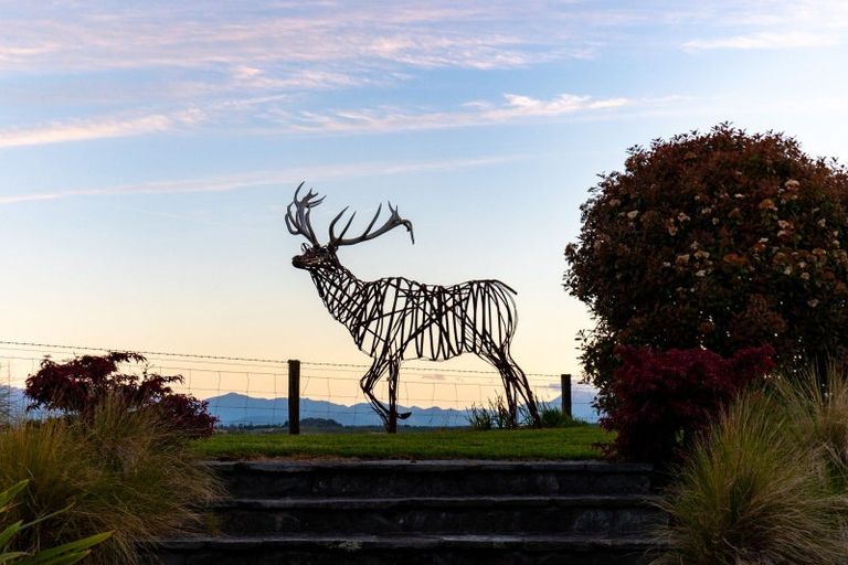 Photo of property in 113 Weka Road, Tasman, Upper Moutere, 7175