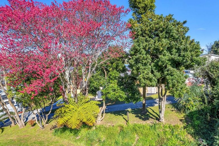 Photo of property in 39 Courtney Road, Gate Pa, Tauranga, 3112