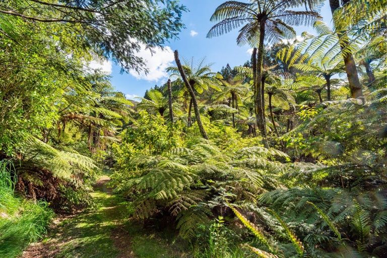 Photo of property in 71c Laurel Drive, Whakamarama, Tauranga, 3179