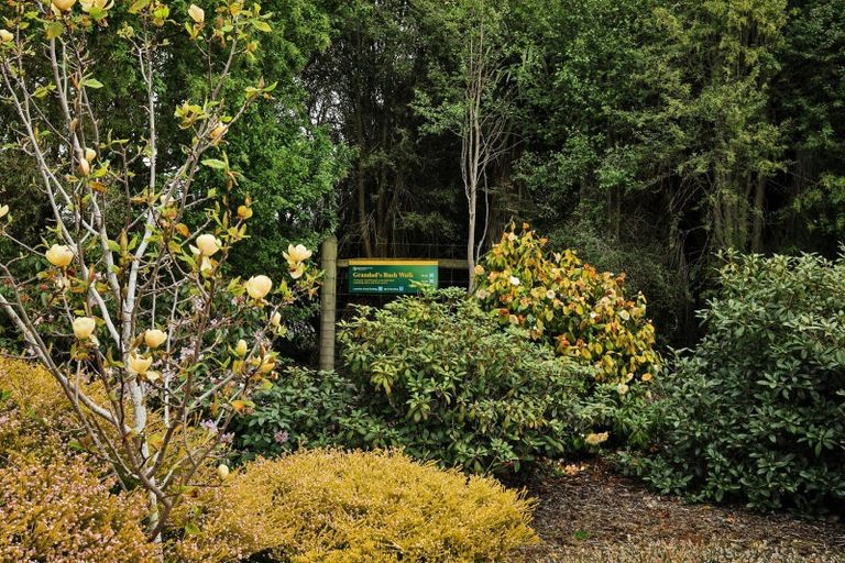 Photo of property in 41 Arcadia Place, Seaward Bush, Invercargill, 9812