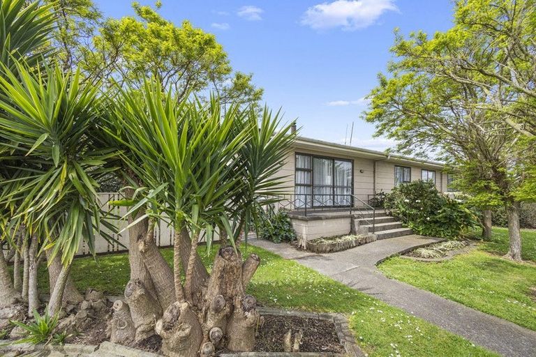 Photo of property in 49 Tower Road, Matamata, 3400