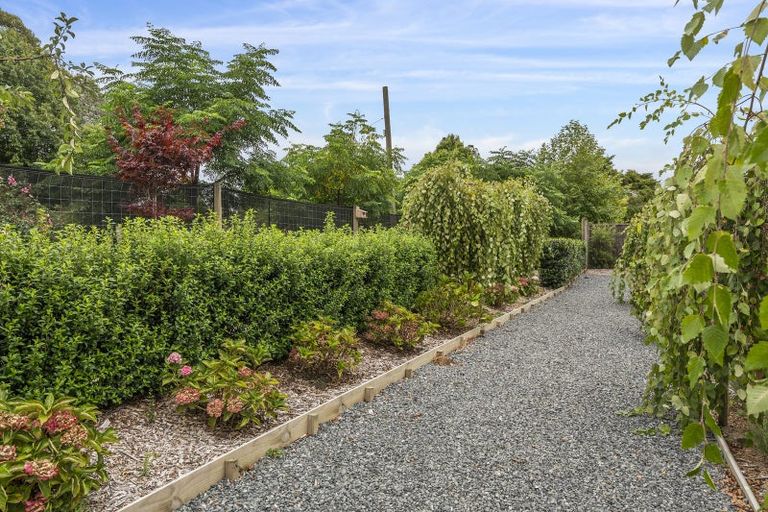 Photo of property in 16 Robinson Road, Coatesville, Albany, 0793