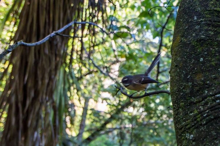 Photo of property in 9 Sherwood Lane, Cashmere, Christchurch, 8022