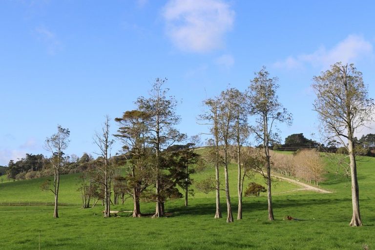 Photo of property in 182 Morrison Road, Arapohue, Dargaville, 0374