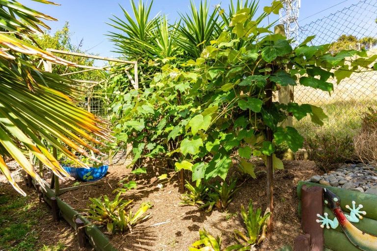 Photo of property in 16 Cobham Avenue, Dargaville, 0310