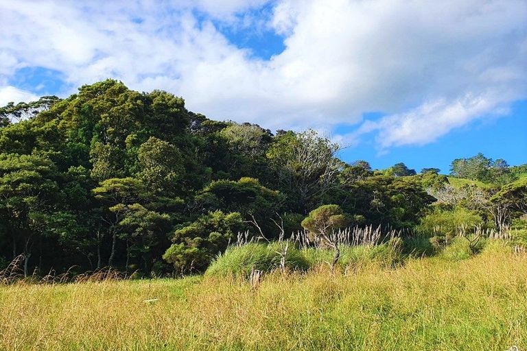 Photo of property in 41 Martin Road, Omapere, Kaikohe, 0473