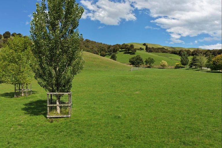 Photo of property in 455 Anaroa Road, Raukawa, Hastings, 4174