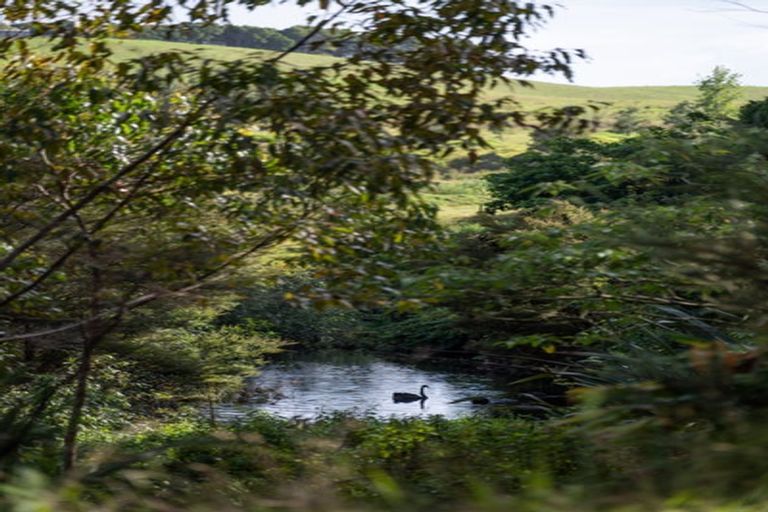 Photo of property in 70 Pukeko Lane, Kerikeri, 0294