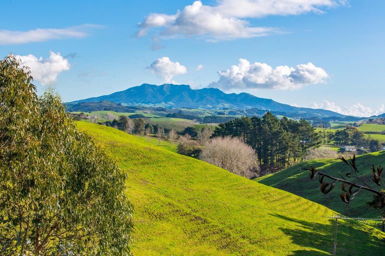 Photo of property in 183 Checkley Road, Raglan, 3295