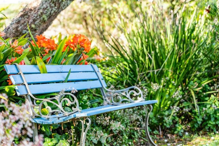 Photo of property in 22 Batten Street, Wellsford, 0900