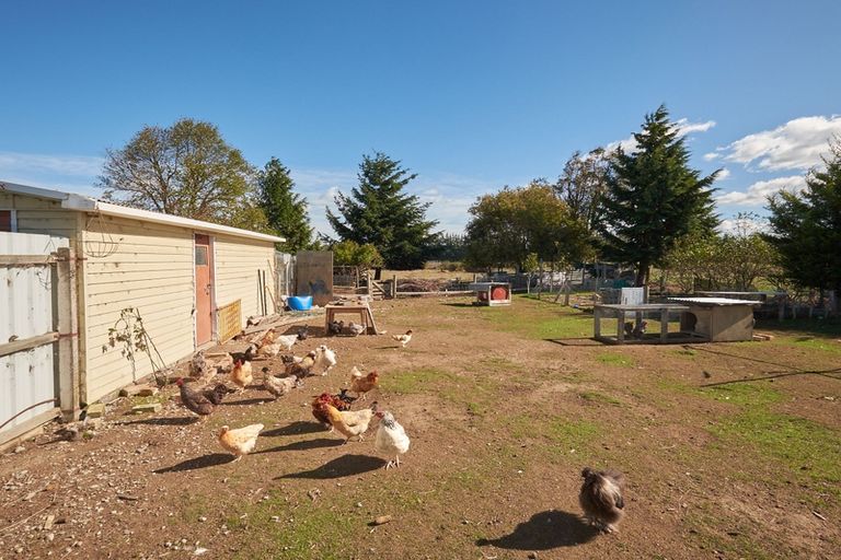 Photo of property in 227 Reilly Road, Orari, Temuka, 7986