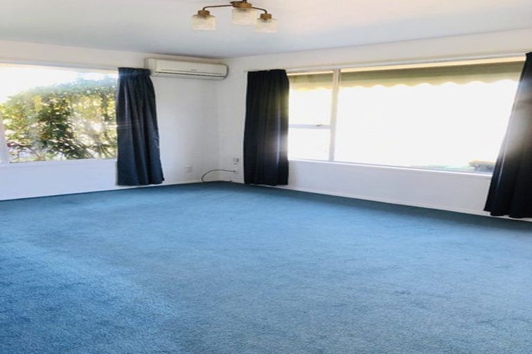 Photo of property in 1/32 Elizabeth Street, Riccarton, Christchurch, 8041