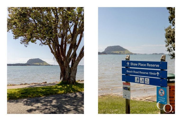 Photo of property in 46 Waratah Street, Matua, Tauranga, 3110