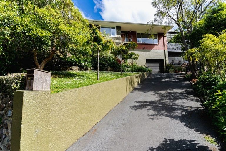 Photo of property in 8 Every Street, Andersons Bay, Dunedin, 9013