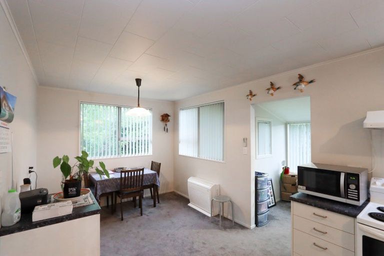 Photo of property in 3 Highfield Street, Waiau, 7332