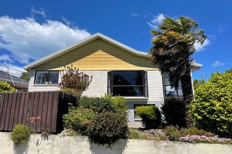 Photo of property in 115 Domain Avenue, Temuka, 7920