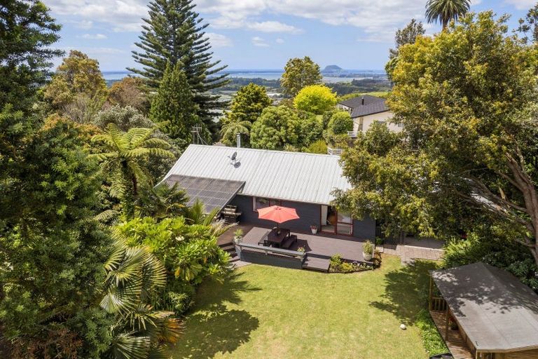 Photo of property in 213a Minden Road, Minden, Tauranga, 3176