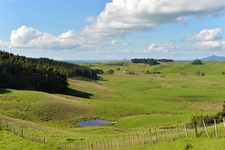 Photo of property in 495 Glenmohr Road, Waipu, 0582