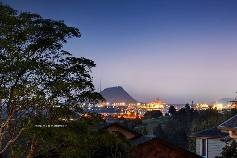 Photo of property in 16 Riddington Rise, Ohauiti, Tauranga, 3112