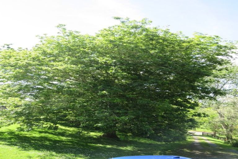 Photo of property in 1232 Bull Road, Paparoa, 0571