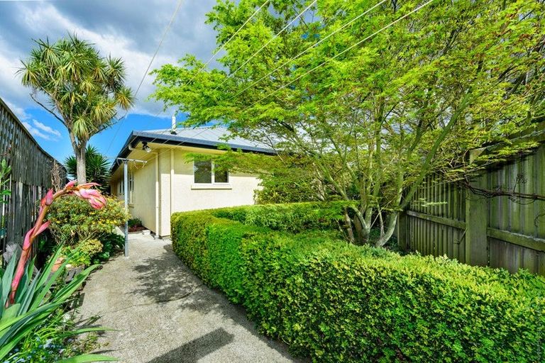 Photo of property in 15a Harrow Street, Phillipstown, Christchurch, 8011