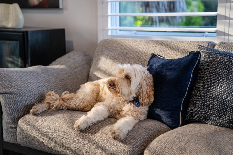 Photo of property in 81 Bleakhouse Road, Howick, Auckland, 2014