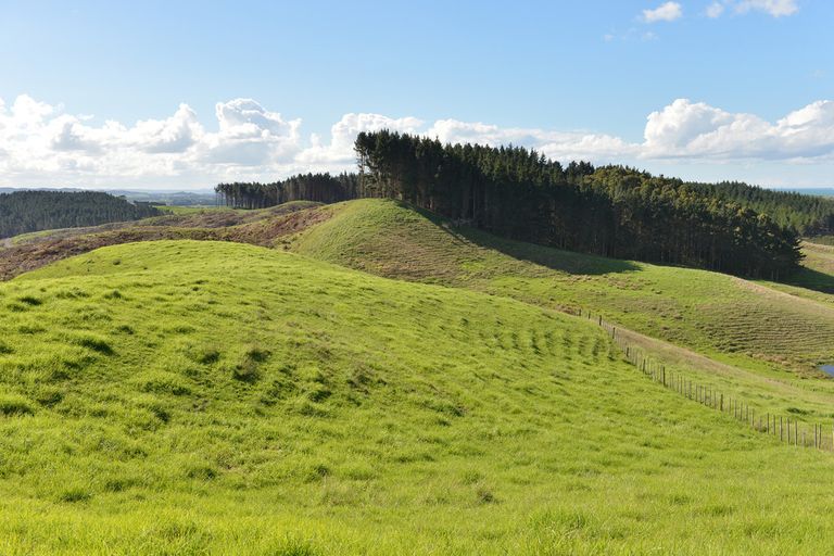 Photo of property in 495 Glenmohr Road, Waipu, 0582