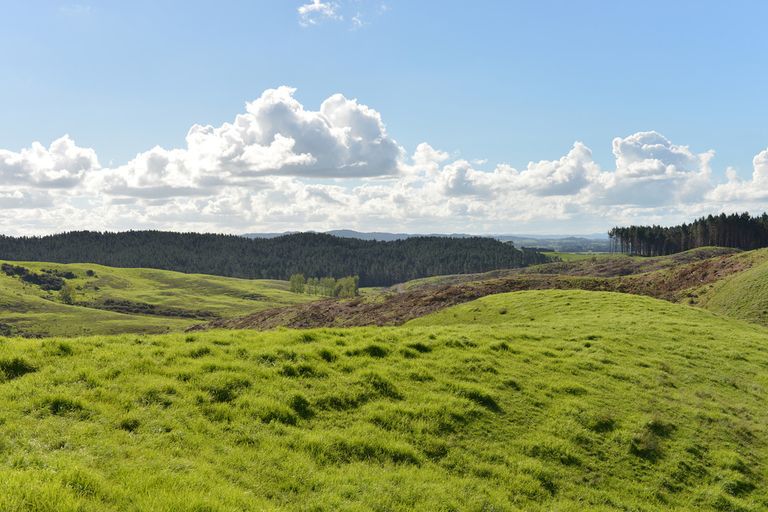 Photo of property in 495 Glenmohr Road, Waipu, 0582