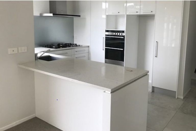 Photo of property in 55 Mackay Drive, Greenhithe, Auckland, 0632