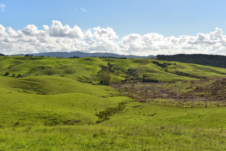 Photo of property in 495 Glenmohr Road, Waipu, 0582