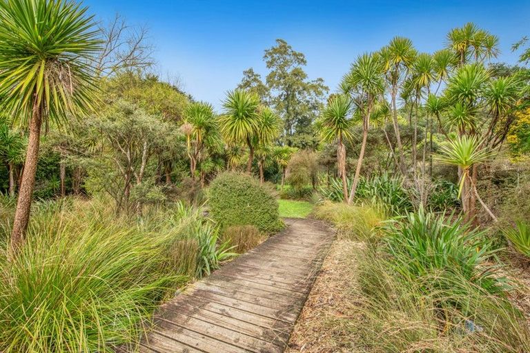 Photo of property in 19 Benita Place, Sunnyvale, Auckland, 0612