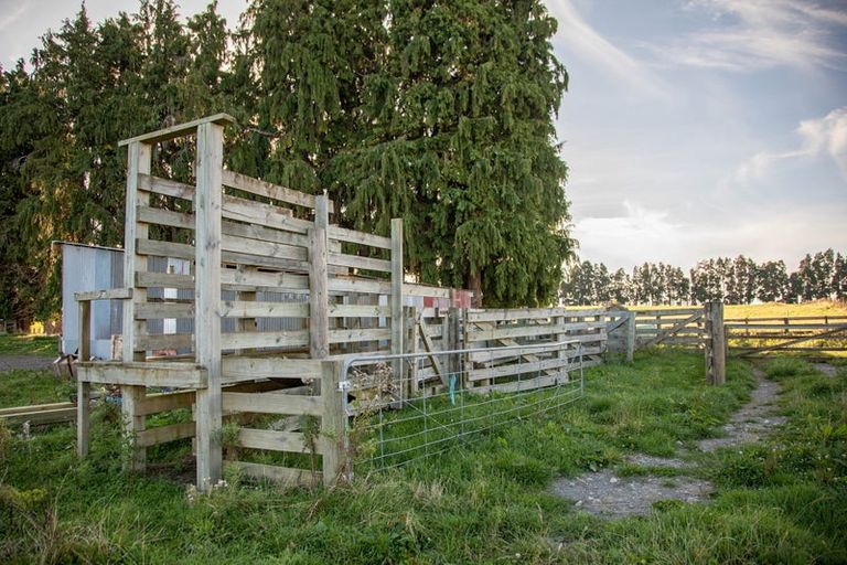 Photo of property in 329 Raetihi Ohakune Road, Raetihi, 4691