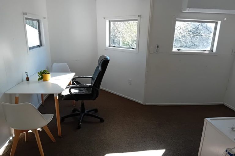 Photo of property in 35 Alexander Street, Kingsland, Auckland, 1021