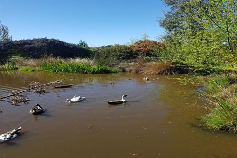 Photo of property in 127 Hodgsons Road, Loburn, Rangiora, 7472