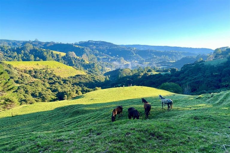 Photo of property in 482 Krippner Road, Puhoi, Warkworth, 0994