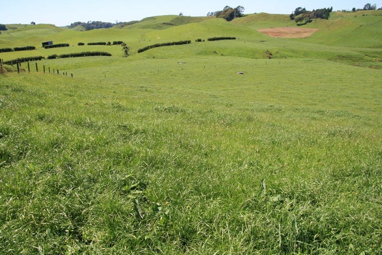 Photo of property in 1234 Richmond Road, Everett Park, Inglewood, 4389