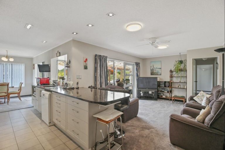 Photo of property in 213 Heatherlea Road East, Levin, 5571