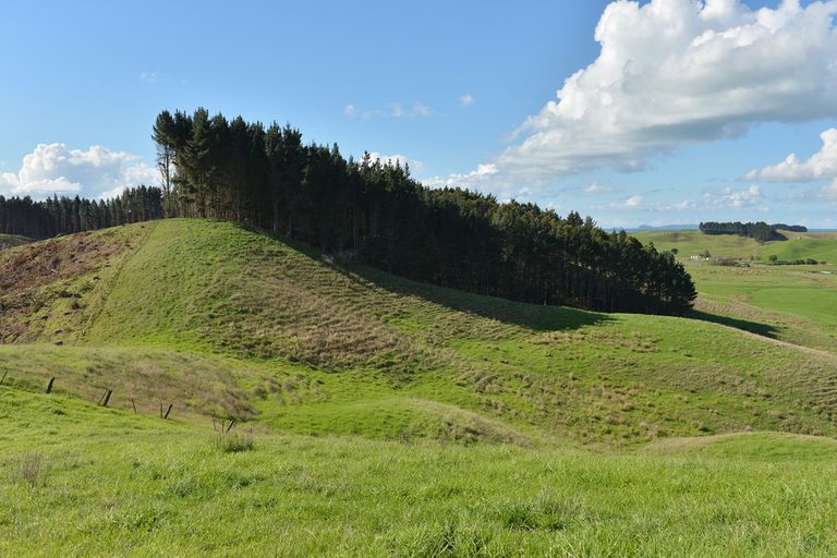 Photo of property in 495 Glenmohr Road, Waipu, 0582