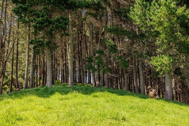 Photo of property in 52 Tuiglen Place, Glenbervie, Whangarei, 0173