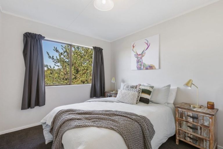 Photo of property in 13a Ridout Street, Maeroa, Hamilton, 3200