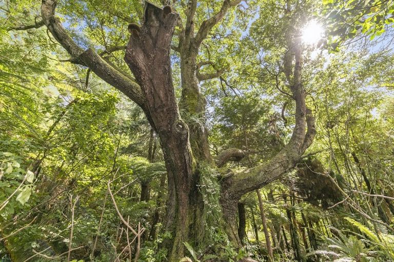 Photo of property in 530 Stokes Valley Road, Stokes Valley, Lower Hutt, 5019