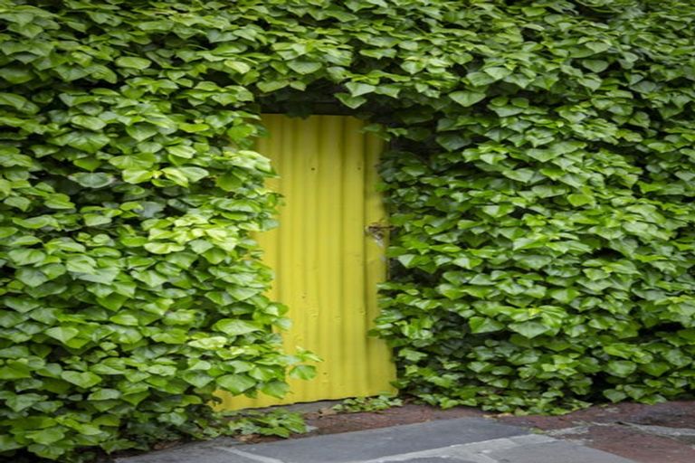 Photo of property in 23 Menzies Street, Sumner, Christchurch, 8081