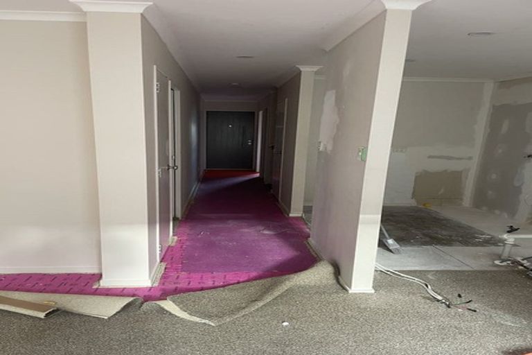 Photo of property in 46 Chapel Road, Flat Bush, Auckland, 2019