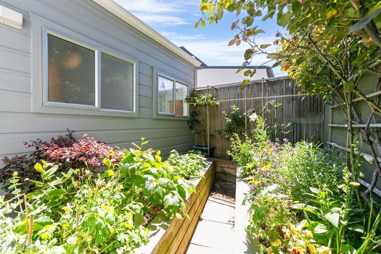 Photo of property in 122 Maida Vale Road, Roseneath, Wellington, 6011