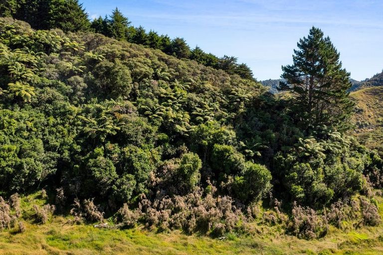 Photo of property in 1530 Mokau Road, Uruti, Urenui, 4379