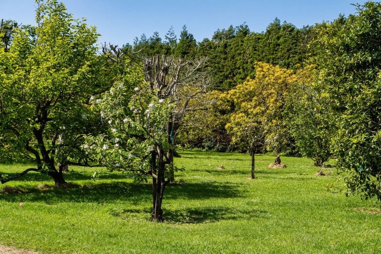 Photo of property in 85 Wharawhara Road, Tahawai, Katikati, 3178