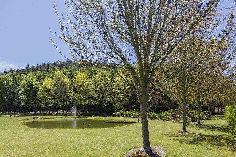 Photo of property in 31 Murray Road, Pukeuri, Oamaru, 9493